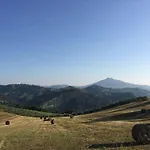 Residenza Pacifici B&B 아스콜리피체노