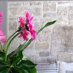 Residenza Pacifici B&B