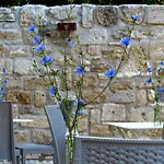B&B Residenza Pacifici 3*