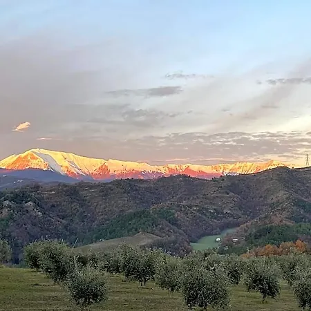 Residenza Pacifici Nocleg ze śniadaniem