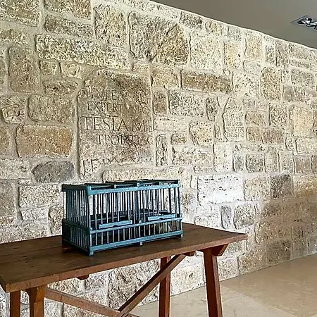 Residenza Pacifici Nocleg ze śniadaniem Ascoli Piceno