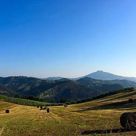 Residenza Pacifici 3* Ascoli Piceno