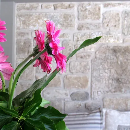 Residenza Pacifici Bed & Breakfast