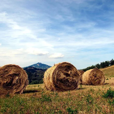 Bed & Breakfast Residenza Pacifici